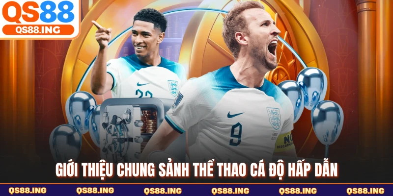Giới thiệu chung sảnh thể thao cá độ hấp dẫn