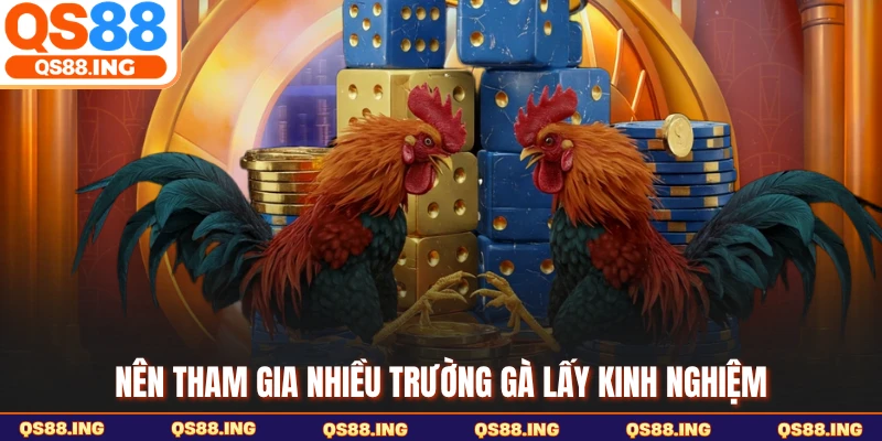 Nên tham gia nhiều trường gà lấy kinh nghiệm