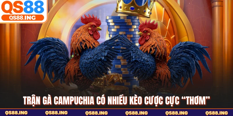 Trận gà Campuchia có nhiều kèo cược cực “thơm”